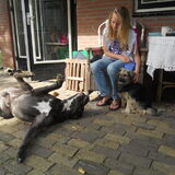 aandacht??
