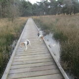 samen over de brug.