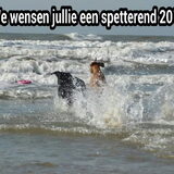 Foto van Eef en Tjibbe