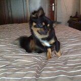 Jeuk
