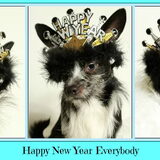 Mijn modelletje zegt Happy New Year iedereen!