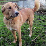 Hesh in park jan 2013