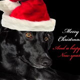 kerst 2012
