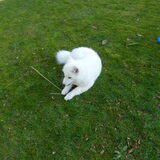 mikai 30/12/12