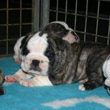 Ooooh een baby Luca :D
