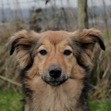 Foto van Sanne