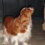 Foto van Beth