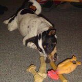Foto van Betty