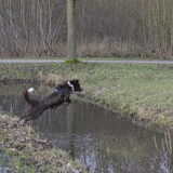 Oepsie Slootje springen!