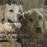 Foto van Gwenn