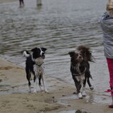 Vol verwachting klopt ons hart!