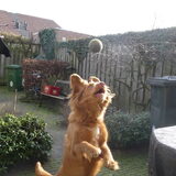 Foto van judith