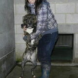 Met Bullit