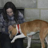 Met Max