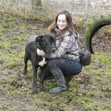 Met Bailey op de wei