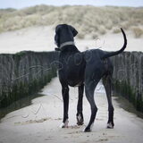 Foto van Marinda