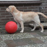 Foto van D&G