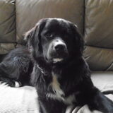 Foto van tessa