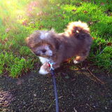 6 januari 2013 Lekkere wandeling gemaakt in het park
