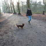 lekker wandelen in het bos