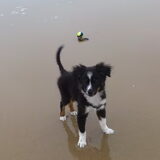 Foto van Manja