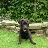 That's my boy :-)