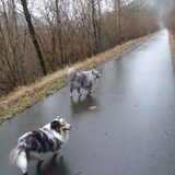 Heerlijk wandelen in de Ardennen