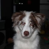 Foto van Vivian   <3    Sem
