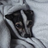 zzzz..zzz..ik ben nog moe