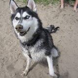 zand neus
