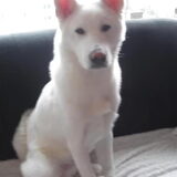 Foto van kevin baasje van yuki en luca
