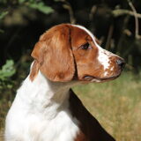 Foto van Demi - Rosie