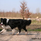 Foto van Rublisie