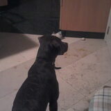 Onze meid, ze word al zoo groot :) Eerst in lengte, nu in breedte…