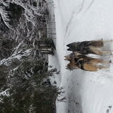 Foto van Shamilla & Zena