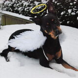 Kerstkaart 2010