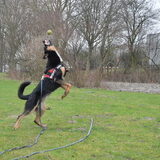 Foto van jacqueline en baco