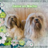 Foto van Ria Macho Jamie