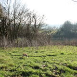 spring in het veld!