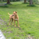 Foto van Zoe en ik