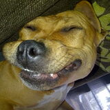 SAY CHEESE!!!