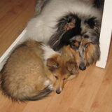 Foto van Liesbeth