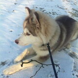 Sneeeeuw!