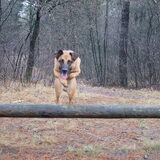 Jump
