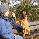 High five