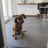 Foto van lara en nelson