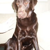 Onze grootste trots :)