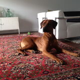 Foto van lara en nelson