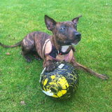 I love 2 play football