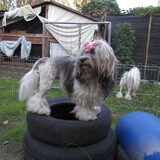 Kai@Belgische GH (training thuis)